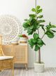 A & B Home Green 6' Fiddle-Leaf Fig Tree in Pot-3