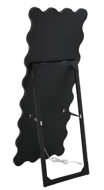 Coaster® Brixey Black Floor Mirror-3