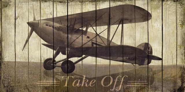 Classy Art Take Off by Merri Pattinian Wall Art-0