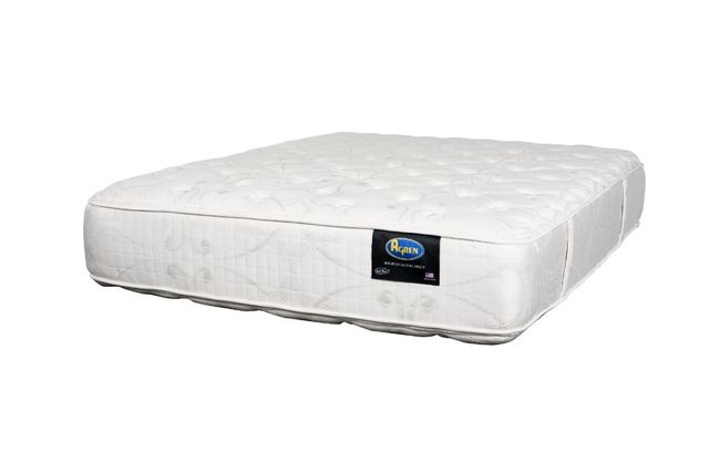 Agren Factory Direct Coastal Haven Casco Bay Wrapped Coil Medium Tight Top Twin XL Mattress