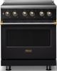 Viking® 5 Series 30" Onyx Pro Style Induction Range with Brushed Brass Trim-0