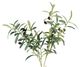 A & B Home Green Olive Leaf Branch-1