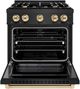ZLINE Select Autograph Edition 30" Black Stainless Steel Pro Style Dual Fuel Range with Polished Gold Accents-1