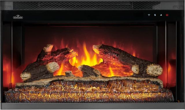 Napoleon Rosedale™ 2 Series 26'' Black Insert Electric Fireplace-0