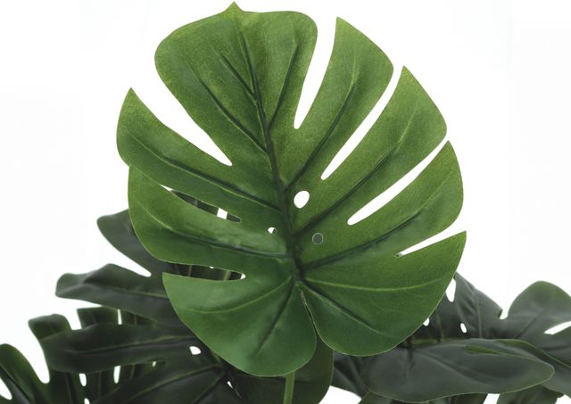 Monarch Specialties Inc. Green/Black 24" Artificial Potted Monstera-2