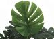 Monarch Specialties Inc. Green/Black 24" Artificial Potted Monstera-2