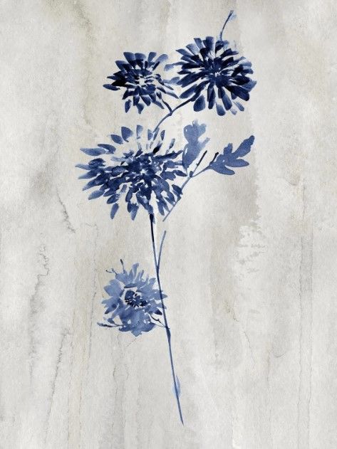 Classy Art Indigo Botanical IV by Conrad Knutsen Wall Art-0