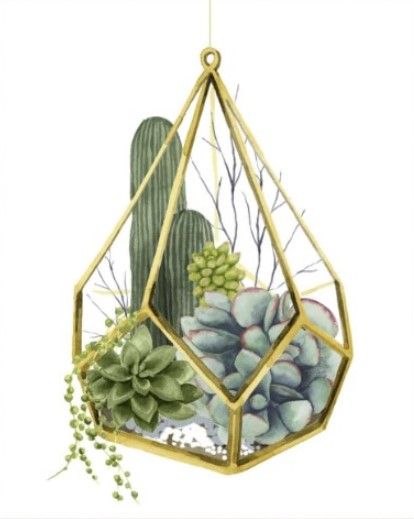 Classy Living Grace Popp Wild Terrarium IV Wall Art-2
