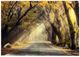 YHD Road to Remember Wall Art-0