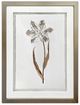 Crestview Collection Gilded Botanicals 4-Piece Wall Art Set-1