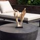 Uttermost® Hollow Form Bleached Teak Indoor-Outdoor Sculpture-1