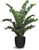 Le Present Zamioculcas Green 39.5" Faux Botanical Cylindrica-0