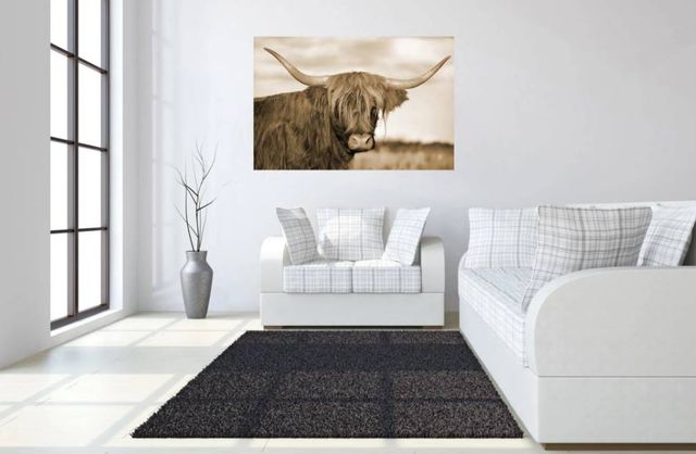 Classy Art Highland Cow 1 Wall Art-3