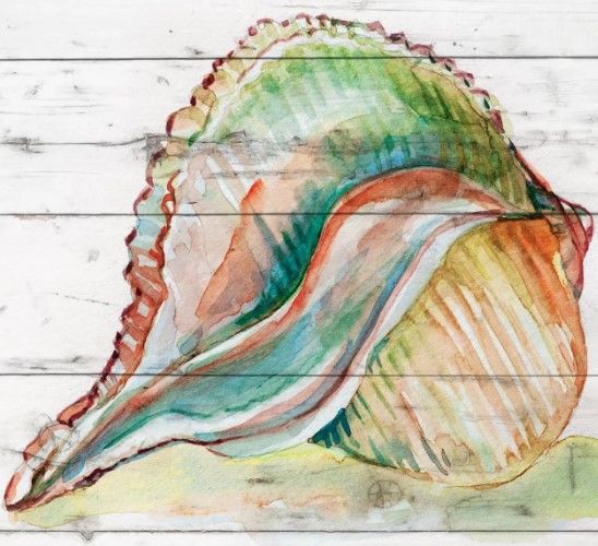 Classy Art Tye Dyed Shell II by Carol Robinson Wall Art-1