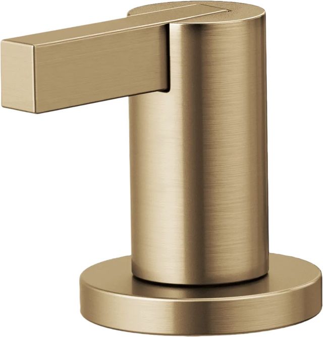 Brizo Litze® Brilliance® Luxe Gold® Widespread Lavatory Extended Lever Handle Kit-0