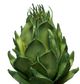 A & B Home Green Artificial Artichoke Stem-1