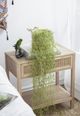 A & B Home Light Green Faux Willow-3