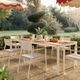 TOV Furniture Sardinia 2-Piece Cream Aluminum/Fabric/Wooden Outdoor Dining Chair Set-1