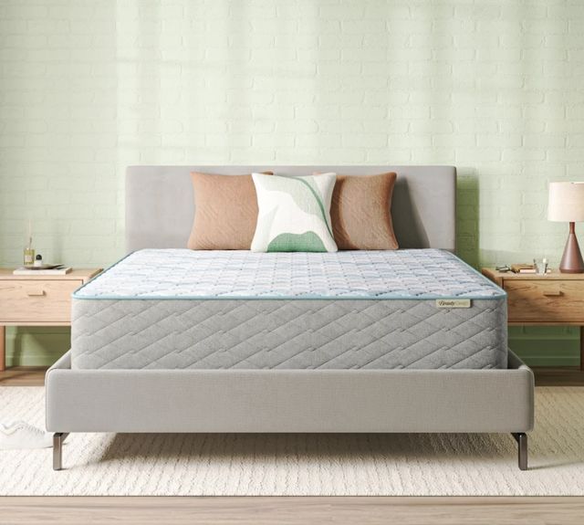 BeautySleep® Soothing Nights 14" Pocketed Coil Firm Tight Top Twin XL Mattress in a Box-0