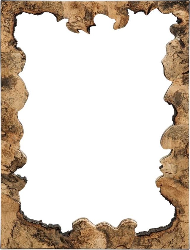 Uttermost® Abraham Tamarind Mirror-2