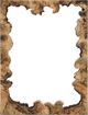 Uttermost® Abraham Tamarind Mirror-2