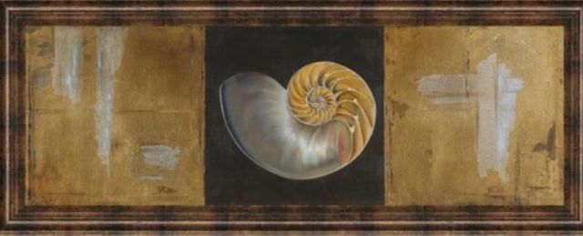 Classy Art Seashells II By Patricia Pinto Wall Art-1