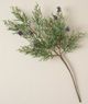 Magnolia Home by Joanna Gaines Green Juniper and Pine Pick-0