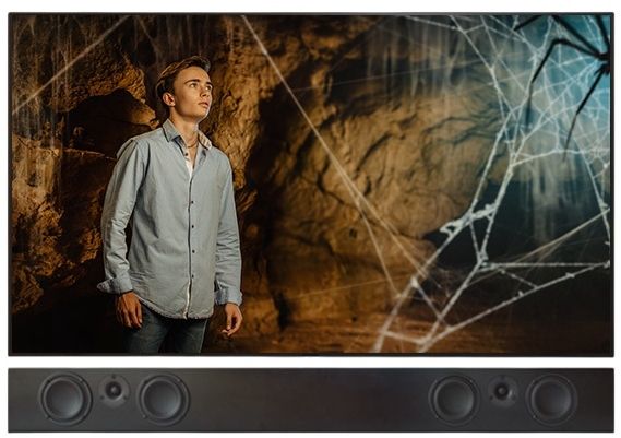 Totem Acoustics Tribe 2 Channel Sound Bar-1