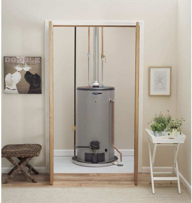 GE® 50 Gallon Gray Natural Gas Water Heater-1