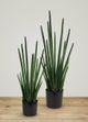 Le Present Sansevieria Green Faux Botanical Cylindrica-3