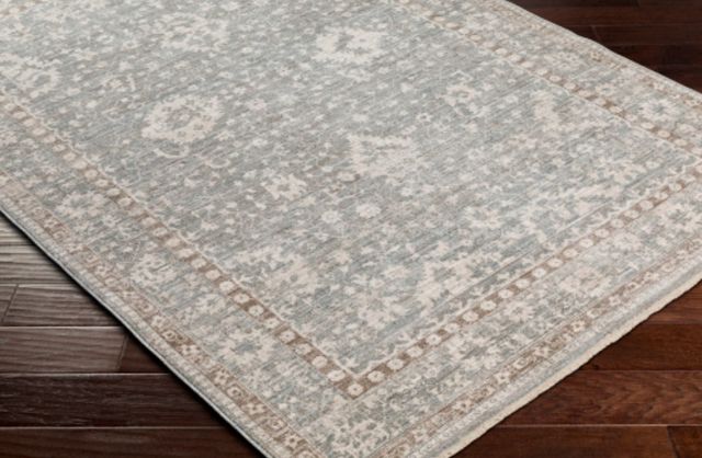 Surya Carlisle Ivory/Light Gray 4'x6' Area Rug-3