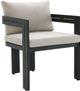 Elements International Costa Black/Soluction Beige Outdoor Fabric/Metal Dining Chair -0
