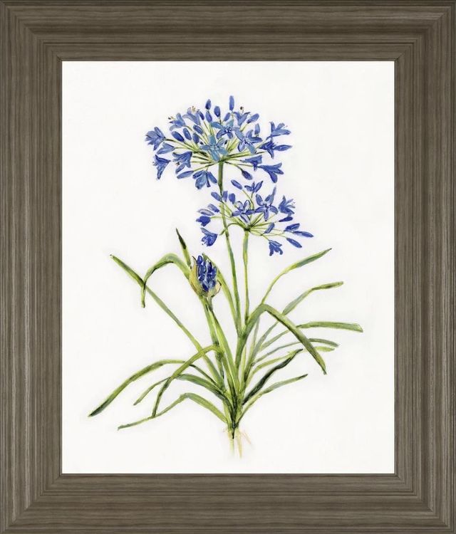 Classy Art Blue Lively Botanical I by Sally Swatland Framed Wall Art-0