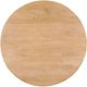 Dovetail Furniture Vellum Natural Coffee Table-1