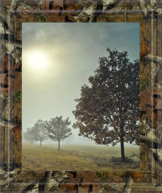 Classy Art It’s A New Day by Frank, A Wall Art-0