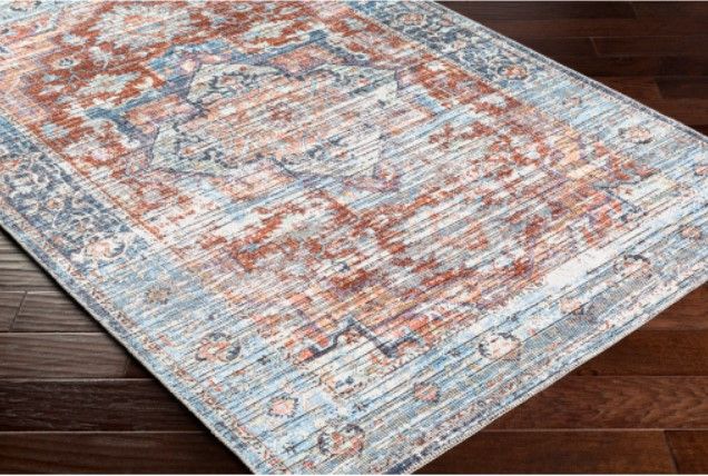 Surya Nolita Dusty Coral/Sky Blue 4'x6' Area Rug-4