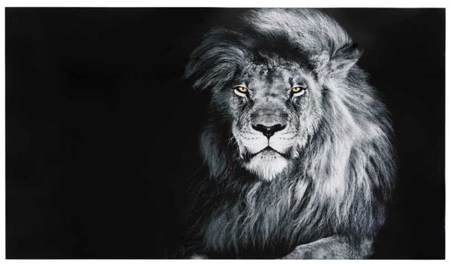 YHD Felis Leo Wall Art-0