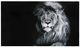 YHD Felis Leo Wall Art-0