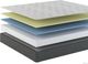 Sherwood® Bedding XXV Selene Ocho 8" Gel Memory Foam Medium Firm Tight Top Twin Mattress in a Box-3