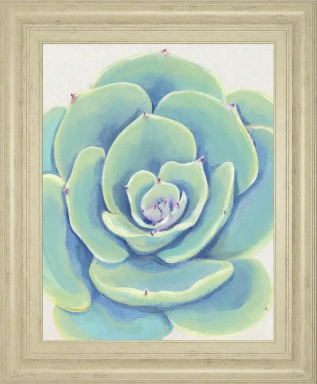 Classy Art Pastel Succulent IV by Tim OToole Wall Art-0