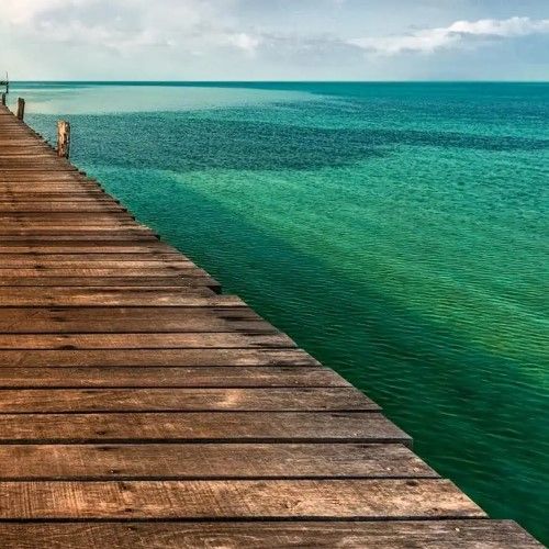 Classy Art Tropic Blues by Mike Calascibetta Wall Art-1