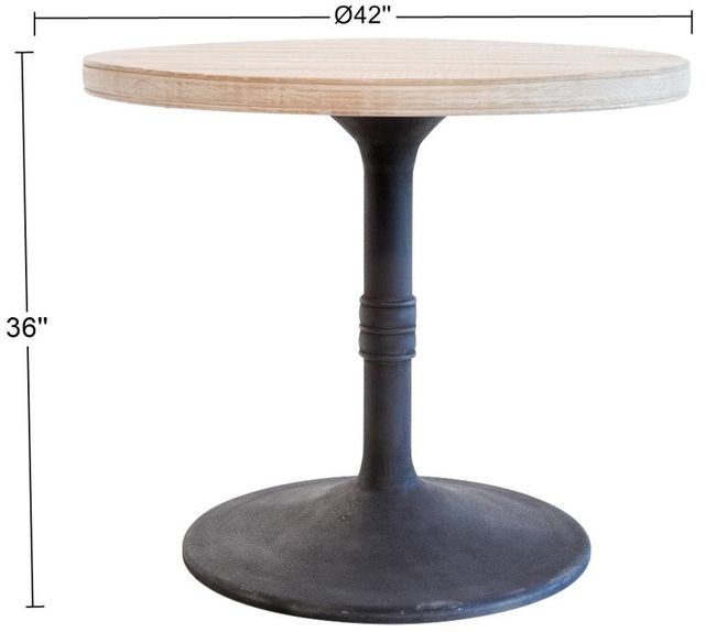 Nest Home Collections Sadie White Wash Counter Table with Iron Base-1