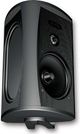 Definitive Technology® AW6500 Black All-Weather Outdoor Speaker-1