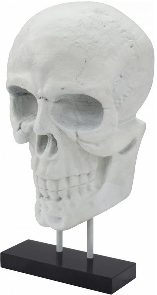 Moe's Home Collection Braincase White Skull Statue-0