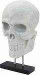 Moe's Home Collection Braincase White Skull Statue-0