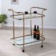 Furniture of America® Tiana Champagne Serving Cart-1