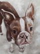 Crestview Collection Lucy Brown/Gray Wall Art-1