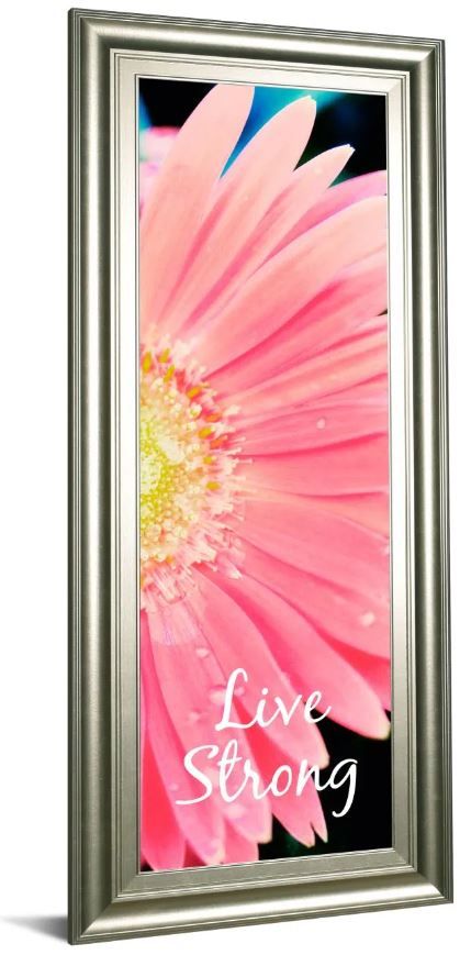 Classy Art Pink Live Strong Daisy by Susan Bryant Framed Print Wall Art-0