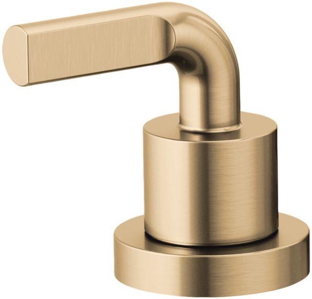 Brizo Litze® Brilliance® Luxe Gold® Roman Tub Faucet Notch Lever Handle Kit-0