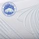 Boyd Sleep SensaFlex 12" Latex Medium Plush Tight Top Queen Mattress in a Box-3